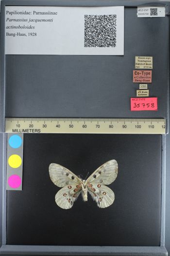 Media type: image;   Entomology 35758